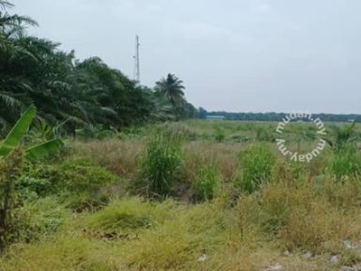 Development land at Teluk Intan for Sale