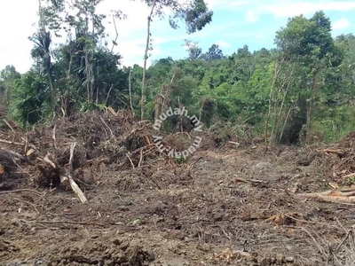 Lot Pertanian Di Kg City Jaya, Batang Merbau, Tanah Merah