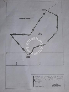 Tanah Kebun Sawit Dan Sarang Burung 99 Ekar Pelong Setiu