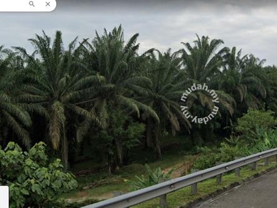 WOW! Tanah pokok kelapa sawit seluas 13 ekar di sebelah Highway Plus