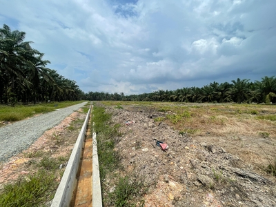 Tanah Malay Reserved Di Sri Gading Parit Burah Parit Raja Pahat Geran Individu Untuk Dijual