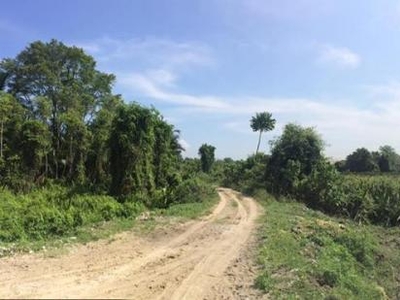 Siputeh freehold agriculture land for sale in Perak