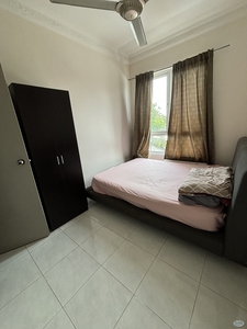 Middle Room at The Spring, Jelutong