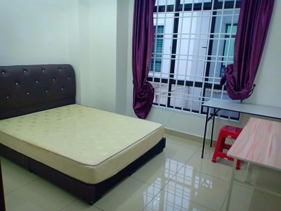 Pulai Hijauan Cluster House For Sale