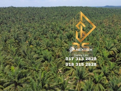Ayer Tawar Freehold Oil Palm Land