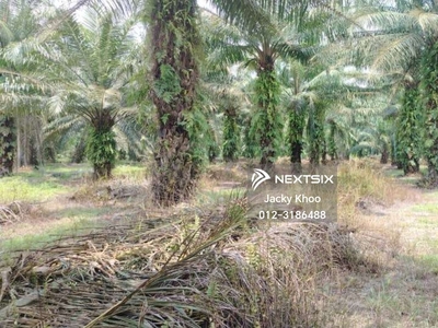 Malaysia Selangor Kuala Langat Jenjarom 3.5 Acres Zoning Industrial Land for Sale