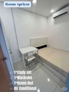LARGEST NEWLY RENOVATED ROOM l FREE WIFI l FULLY FURNISHED