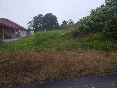 Bungalow lot (0.5 acre) for sale at RTP Bukit Dinding, Jerantut/Temerloh, Pahang