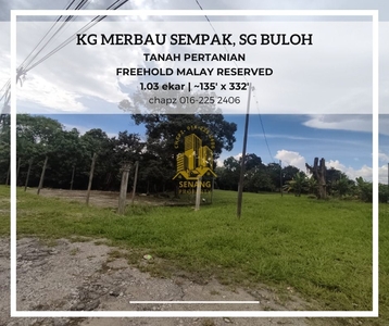 Tanah rata bebas banjir 1 ekar Merbau Sempak Sungai Buloh | Freehold Rizab Melayu