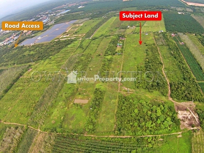 Agriculture Land For Auction at Bukit Kayu Hitam