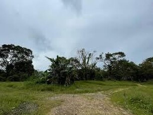 2.5 Acre Land, Ready for Industrial Convertion, Ijok, Puncak Alam