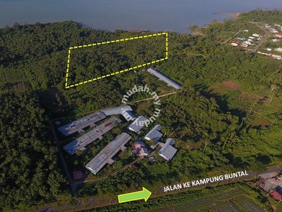 +-10 Acres Empty Land Near Kampung Buntal for Sale