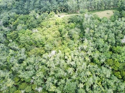 6.975044 acres abandoned land at Tanjung Tualang, Batu Gajah Perak