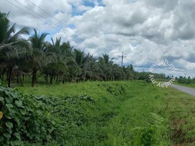 Coconut plantation land ( facing main road ) Native land 8.4 acre