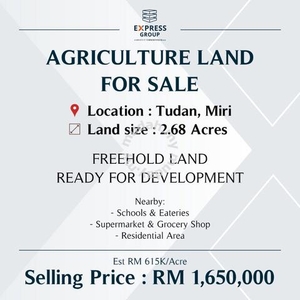 Freehold Agriculture Land at Tudan, Miri