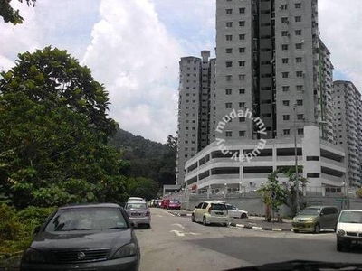 Gambier Heights, Bukit Gambier, near USM, Hillview, Middle Floor