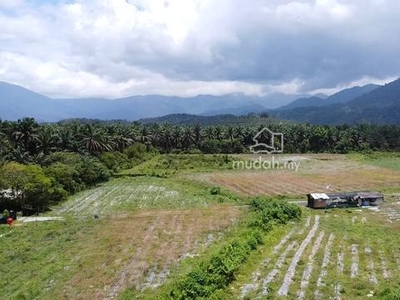 Tanjung Malim Hulu Bernam Land (14.1 acres / Near to Main Road)