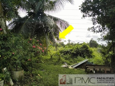 1 Acre Agricultural Land at Jalan Jamboree, Stakan Area For Sale