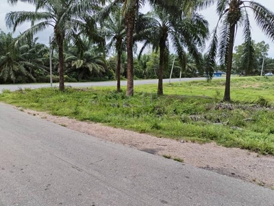 10 Ekar Tanah Pembangunan Main Road Sungai Petani Kedah