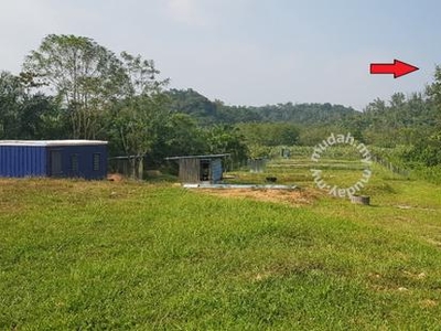 1.5 Acres Agricultural Land at Jalan Rawang-Bestari Jaya