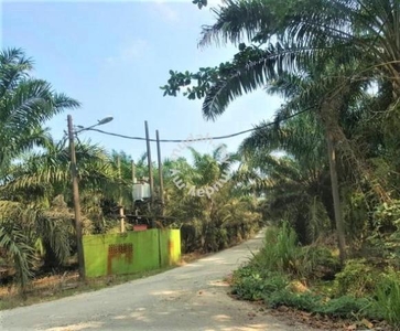 5 Acre land, Freehold, Electricity & Water, Non Bumi