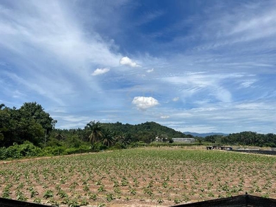 5.3 Acres Agricultural Land Sungai Tangkas, Bandar Baru Bangi, Kajang