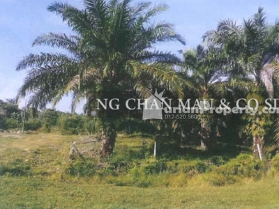 Agriculture Land For Auction at Rompin