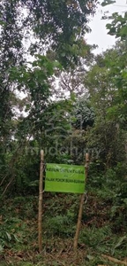 BIG LAND STRATEGIC LOCATION Tanah Kebun Durian Dong Raub