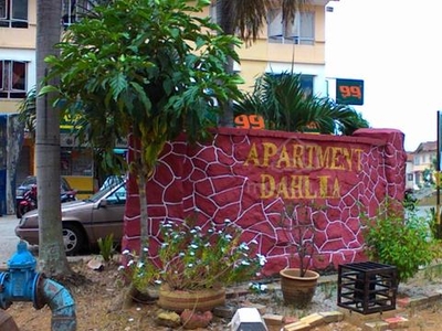 Kemasukan Segara Apartment Dahlia Taman Bunga Raya Bukit Beruntung