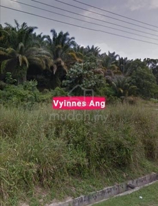 Kulim town residential area Agricultural land For Sale