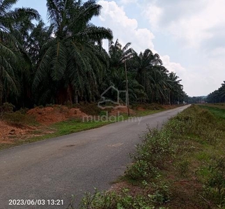 Land in front of the road suitable for buildings