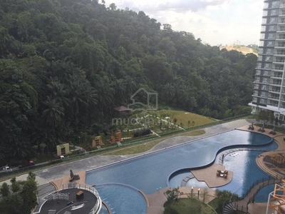 Pool & Forest View Damansara Foresta Condominium