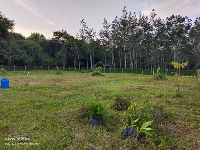 Tanah Siap Tambun Beserta Pagar & Rumah Separuh Siap Di Pendang Kedah