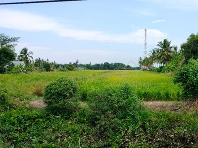 Tanah tepi jalanraya di Kedai 2 Kuala Kurau, Bagan Serai, untuk Sewa