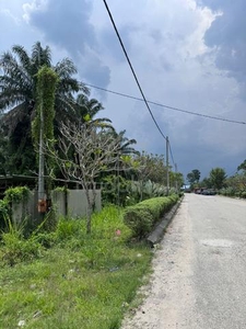 Ulu Choh 9.03 Acre Oil Palm Land Zoning Industrial Freehold Pontian
