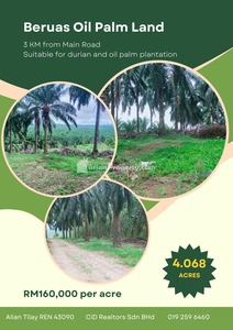 Agriculture Land For Sale at Beruas