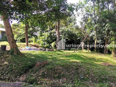 Residential Land For Sale at Kampung Salak Tinggi