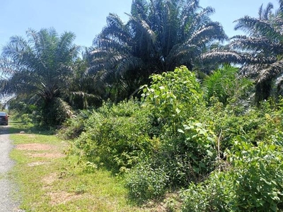 One acre agriculture land at Sepang Sungai Pelek