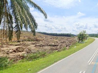 Pahang Maran FREEHOLD 46 Acres Beside Main Road Palm Oil Land for SALE