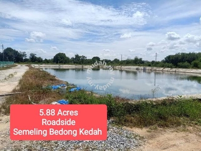 5.88 Acres / Suitable for Fishs or Prawns farming / Semeling Kedah