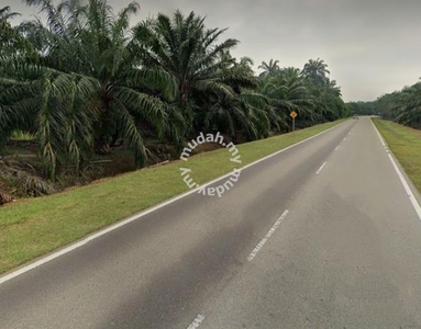 Freehold Road Side Land 3.5 Acres Muar Serom Tangkak Johor