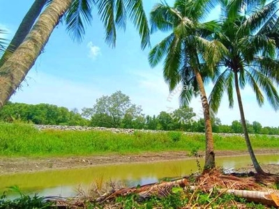 Mixzone Agriculture Land Coconut Farm for Sale