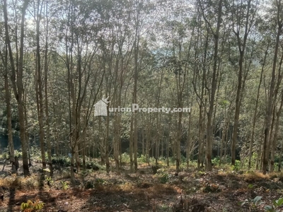 Agriculture Land For Sale at Lenggong