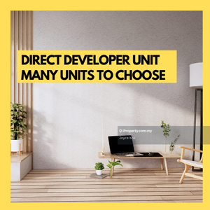 Direct developer unit