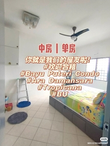 Mid and Single Room to rent at Bayu Puteri Condo, near to Ara Damansara, Kelana Jaya, BU, Tropicana, petaling jaya