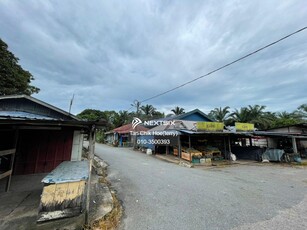 Agriculture Land Pekan Nenas