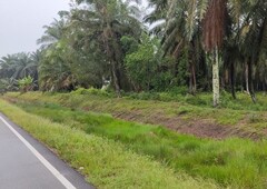 (Nearby Town) 8 Acres Agriculture Land At Parit Besar,Muar