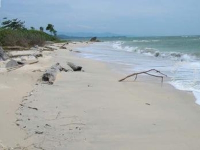 Beach land for Sale at Kudat, Sabah.