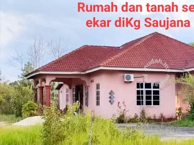 Rumah banglo dan tanah setengah ekar diKg Saujana Setiu Terengganu