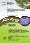 Land in Melaka and Penang for Sale